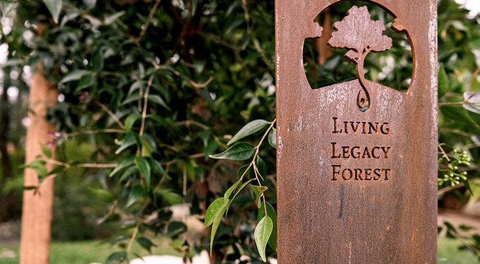 Frenchs Forest - Living Legacy